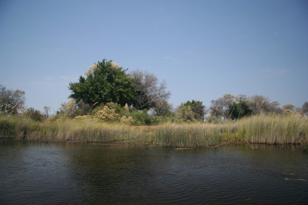 Okavango Delta