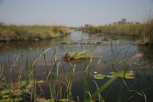 Okavanga Delta