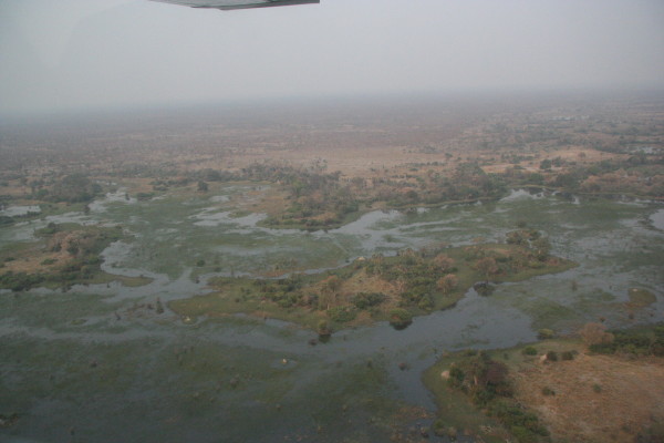 Okavanga Delta