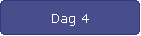 Dag 4