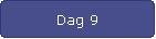 Dag 9