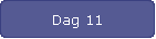 Dag 11