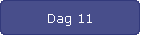 Dag 11