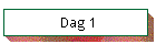 Dag 1