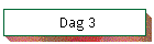 Dag 3