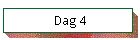 Dag 4