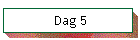 Dag 5