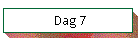 Dag 7