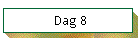 Dag 8