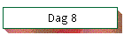 Dag 8