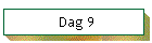 Dag 9