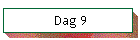 Dag 9