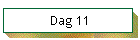 Dag 11