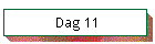 Dag 11