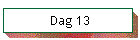 Dag 13