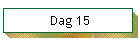 Dag 15