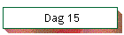 Dag 15